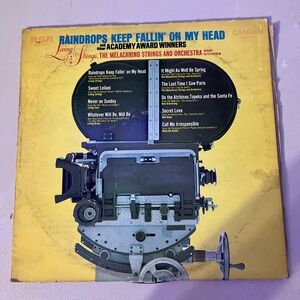 Living Strings Raindrops Keep Fallin On My Head Vinyl Album